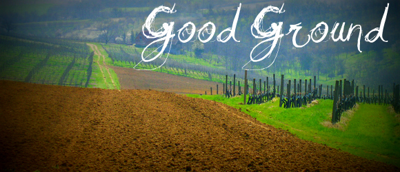 Good Ground Field Good Ground – i·den·ti·ty